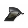 CNC Racing Carbon Fiber / Kevlar Swingarm Cover for Ducati Panigale V4 / S / R / Speciale